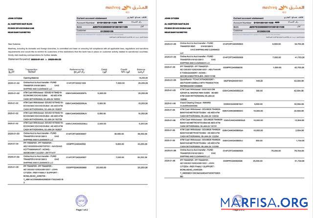 Blank UAE Mashreq account statement word 2 pages sample